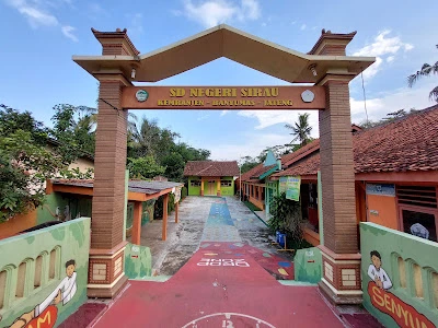 SDN Sirau