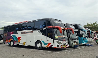 Estu Trans & BEsT Premium