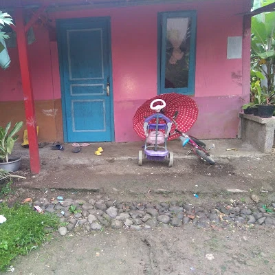 Rupin pojok sawah