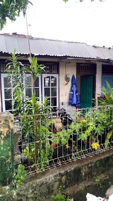 Rumah Pijat Dan Terapi D'Best