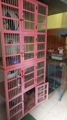 Kinoy guest+pet house cilacap