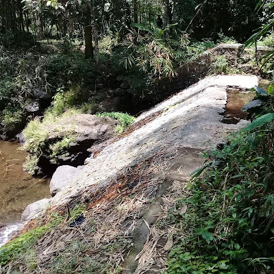 Didi nurhadi