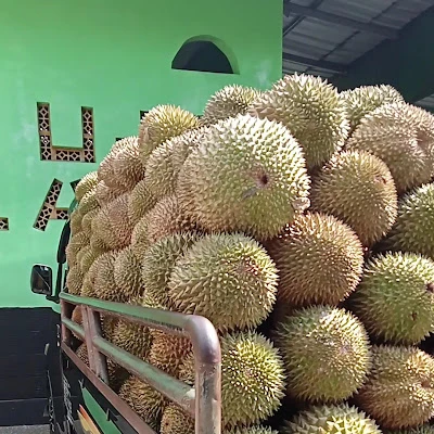 TOKO BERKAH LAKSITA
