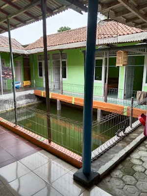 Kost-kostan bapak dasan