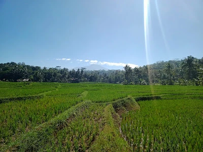 Lapangan Blater