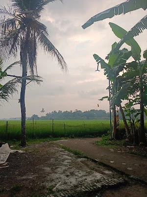 Terbis Mbah Saiman