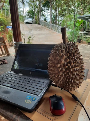 Omah Nggunung