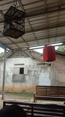 Abi salon