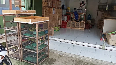 AGP PETSHOP