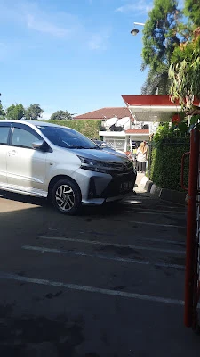 Perpati trans