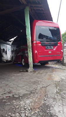 Willy Travel