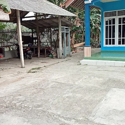 jual ayam pejantan
