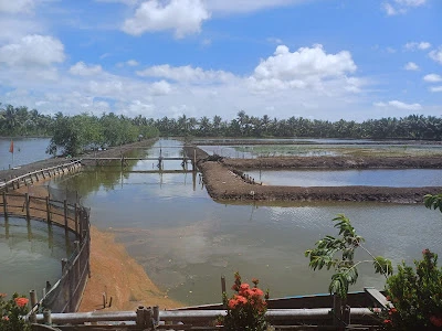 Pemancingan Pak Miskun