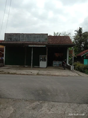 Bangkit Creaby Bird
