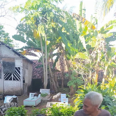 Warung teh Denox