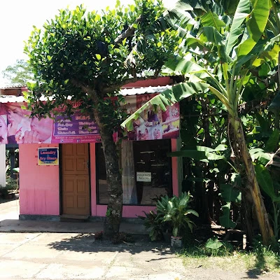 Daris Salon