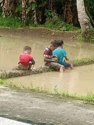 Misriyanto