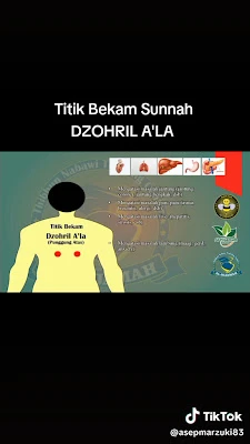 AHLI BEKAM