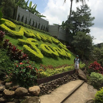 Kiky House