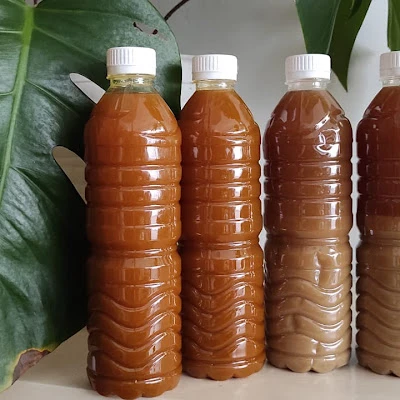 Jamu Cilacap