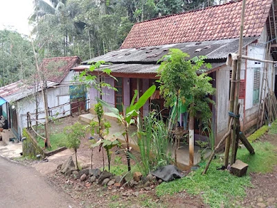 Pak Ritam