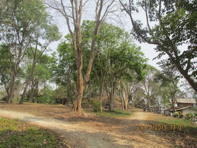Agro Wisata Karang Nini