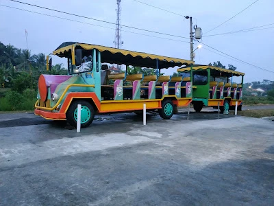 LDR25 kereta wisata