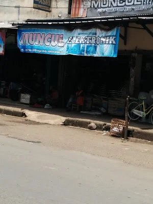 Muncul Elektronik