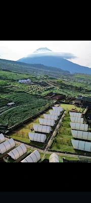 GRIYA HAWA