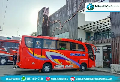 MILLENIAL TOUR SERVICE