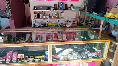 Youra cell & Zafran motor