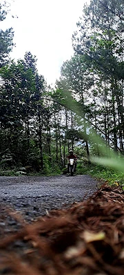 PUNCAK LETER S