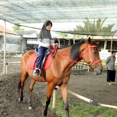 Arena Berkuda Al-Azhar Cilacap (ALAZKA STABLE)
