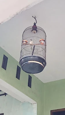 Warung sembako dan aneka jajanan
