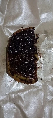 Martabak Mini