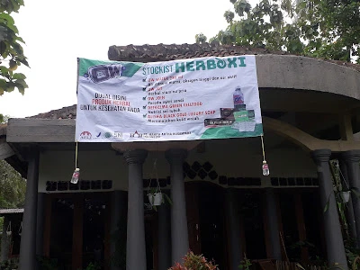 CV IDAYU
