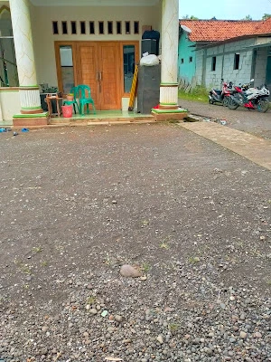 Purwa electric