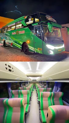 A-zalia trans