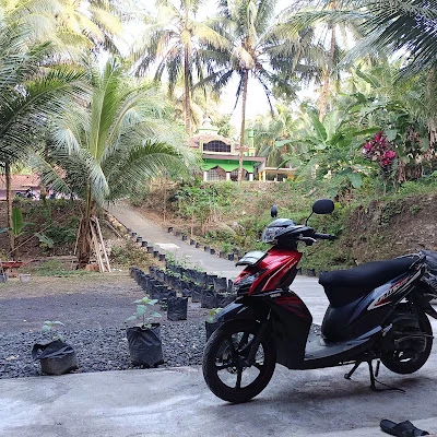 Masjid Baburrohman Dan DTA Baburrohman
