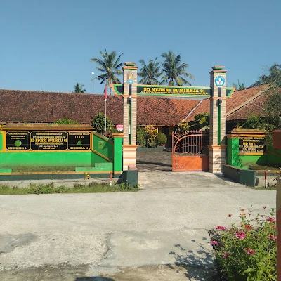 SDN 01 Bumireja