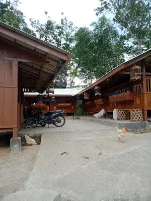 Kurnia farm paningkaban