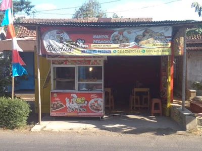 Fried Chiken & Chiken Geprek Bu Ana