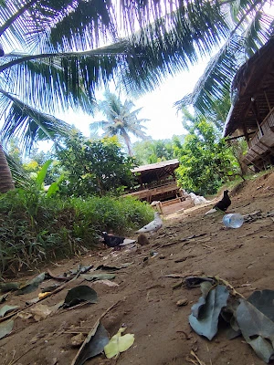 Kolam Kaki Odon