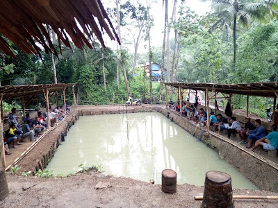 Pemancingan ikan bawal fawaz