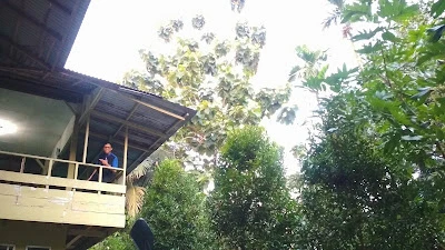 Pesantren Mahasiswa Mafaza
