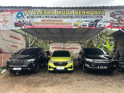 PT. ALESHA MUDA BERKARYA