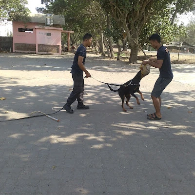 UNIT K-9 POLRESTA CILACAP