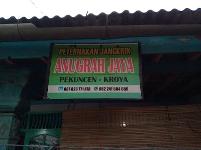 Jangkrik Anugrah jaya