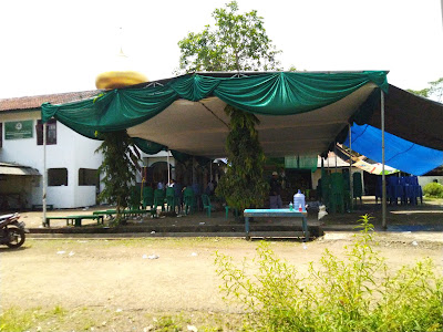 A6 ONYEL