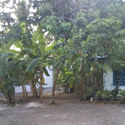 Penjahit pak muntolib